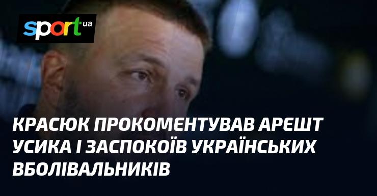 Красюк висловив свою думку щодо затримання Усика і заспокоїв українських фанатів.