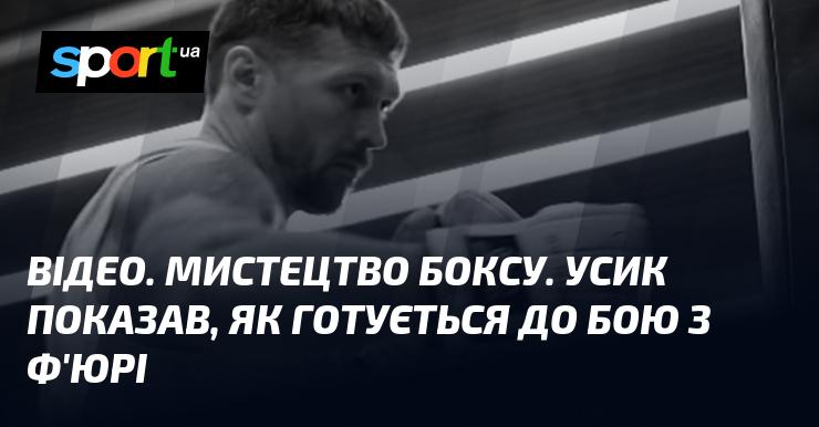 ВІДЕО. Боксерське мистецтво. Усик продемонстрував свою підготовку до поєдинку з Ф'юрі.